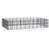 Outdoor Dog Kennel Steel 595.2 ftÂ²