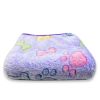 Soft and Fluffy High Quality Pet Blanket Cute Cartoon Pattern Pet Mat Warm and Comfortable Blanket for Cat and Dogs Pet Supplies