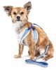 Pet Life Luxe 'Spawling' 2-In-1 Mesh Reversed Adjustable Dog Harness-Leash W/ Fashion Bowtie